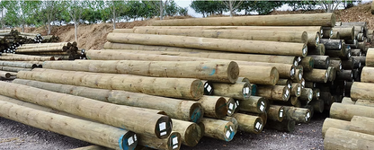 TAPERED POLES 200mm SED (Small End Diameter) 6.0m