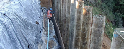 TAPERED POLES 200mm SED (Small End Diameter) 6.0m